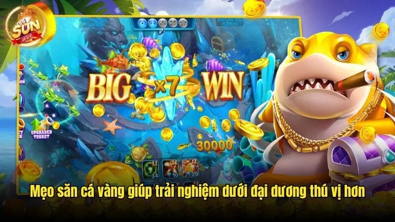 Mẹo săn cá vàng giúp trải nghiệm dưới đại dương thú vị hơn Mẹo Săn Cá Vàng Sunwin Độc Đáo, Kiếm Lời Khổng Lồ 2025