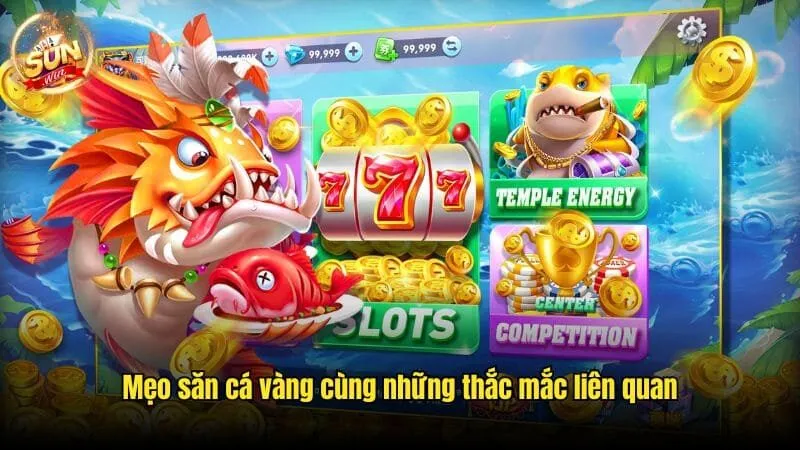 Mẹo săn cá vàng cùng những thắc mắc liên quan Mẹo Săn Cá Vàng Sunwin Độc Đáo, Kiếm Lời Khổng Lồ 2025